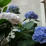 Bed & Breakfast L'adele Occimiano