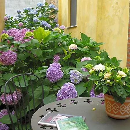 Bed & Breakfast L'adele Occimiano