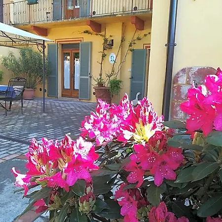 L'adele Occimiano