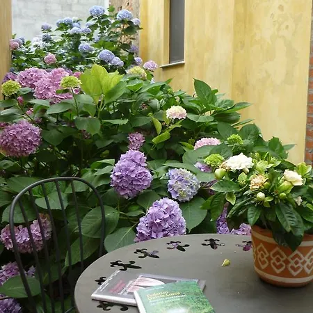 Couette-café L'adele 4*