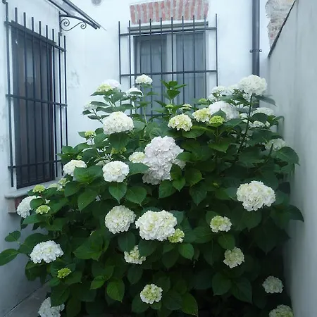 Couette-café L'adele