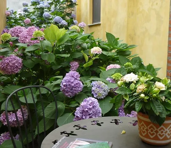 Bed & Breakfast L'adele 4*