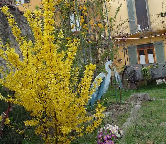 L'adele Occimiano