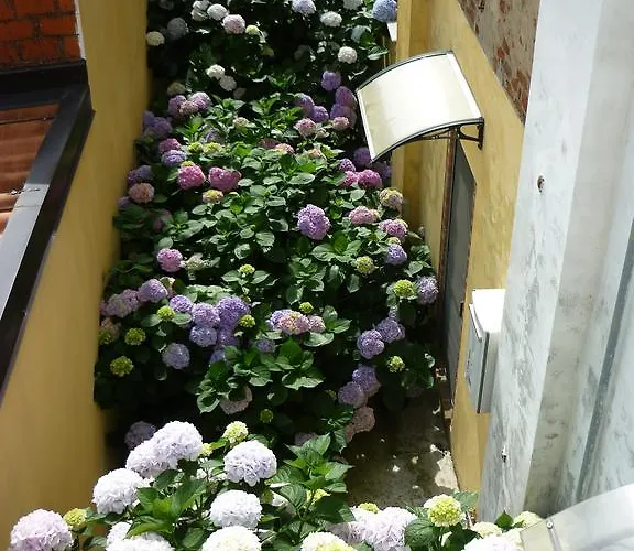 Bed & Breakfast L'adele